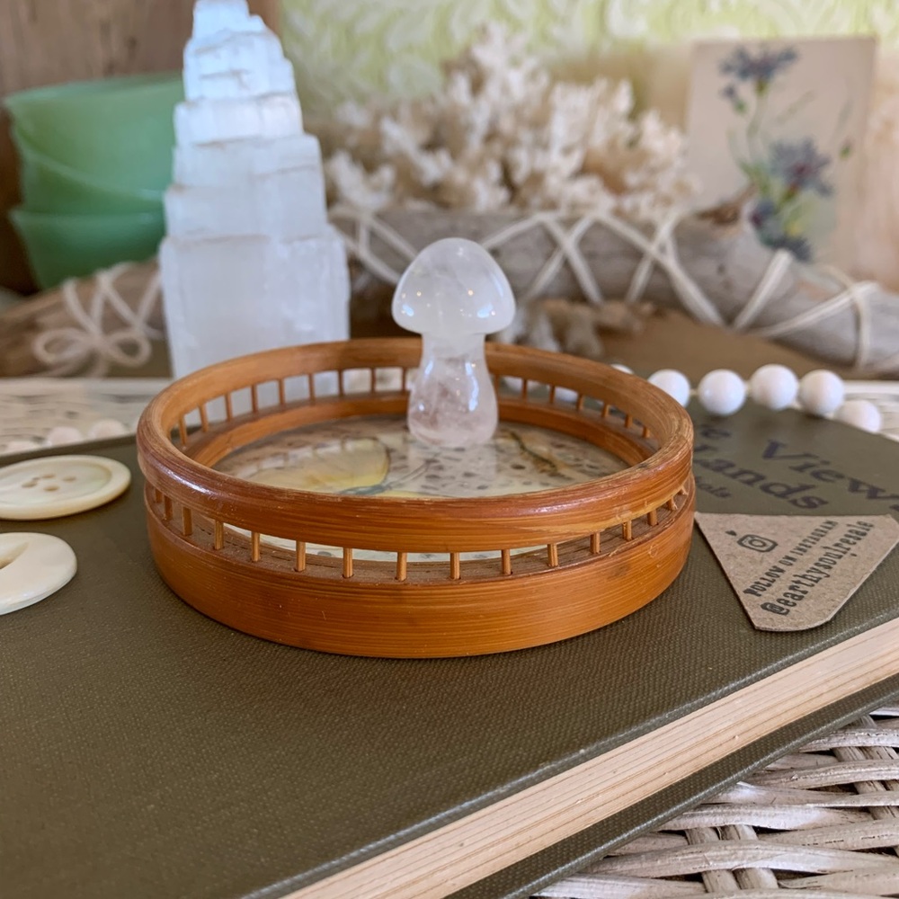 Vintage Butterfly Coaster 🦋 Unique Home Decor / Gift / Retro / Nature / Table - Picture 6 of 7